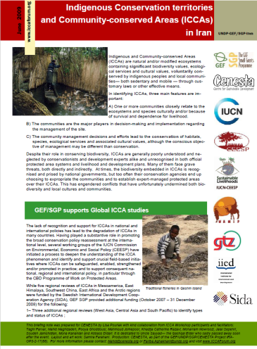 Briefing Note on Iran CCAs- 2009